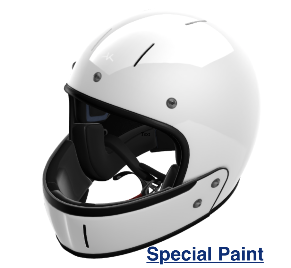 Veldt-Full Face-Leather-Special Paint